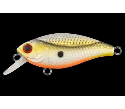 Купить Воблер TsuYoki Chafer 40F, цвет - SD004 в Минске, Беларуси! Топовая цена, скидки, доставка. Rybalkashop.by